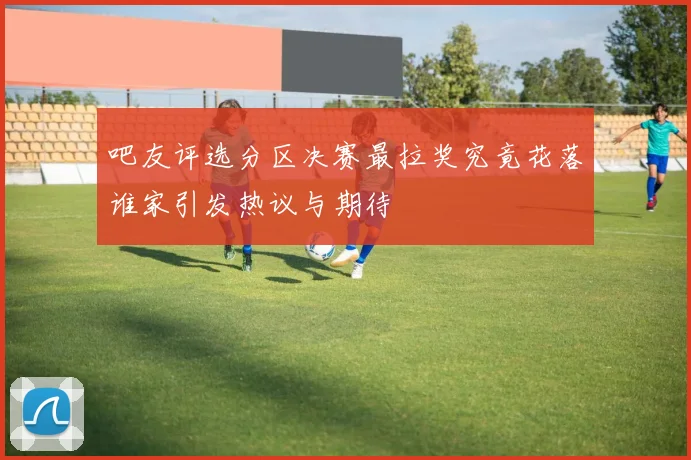 吧友评选分区决赛最拉奖究竟花落谁家引发热议与期待