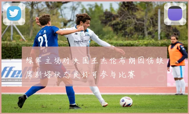 绿军主场对决国王杰伦布朗因伤缺席科塔状态良好可参与比赛