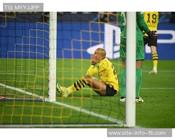 多特蒙德向球迷致敬免费赠送罗伊斯印号主场球衣活动启动